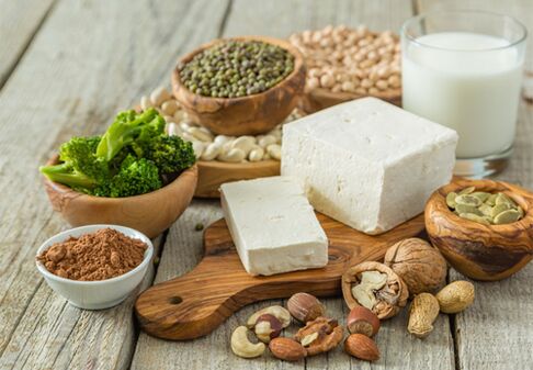 proteina-dieta batean onartzen diren elikagaiak